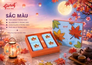 SẮC MÀU